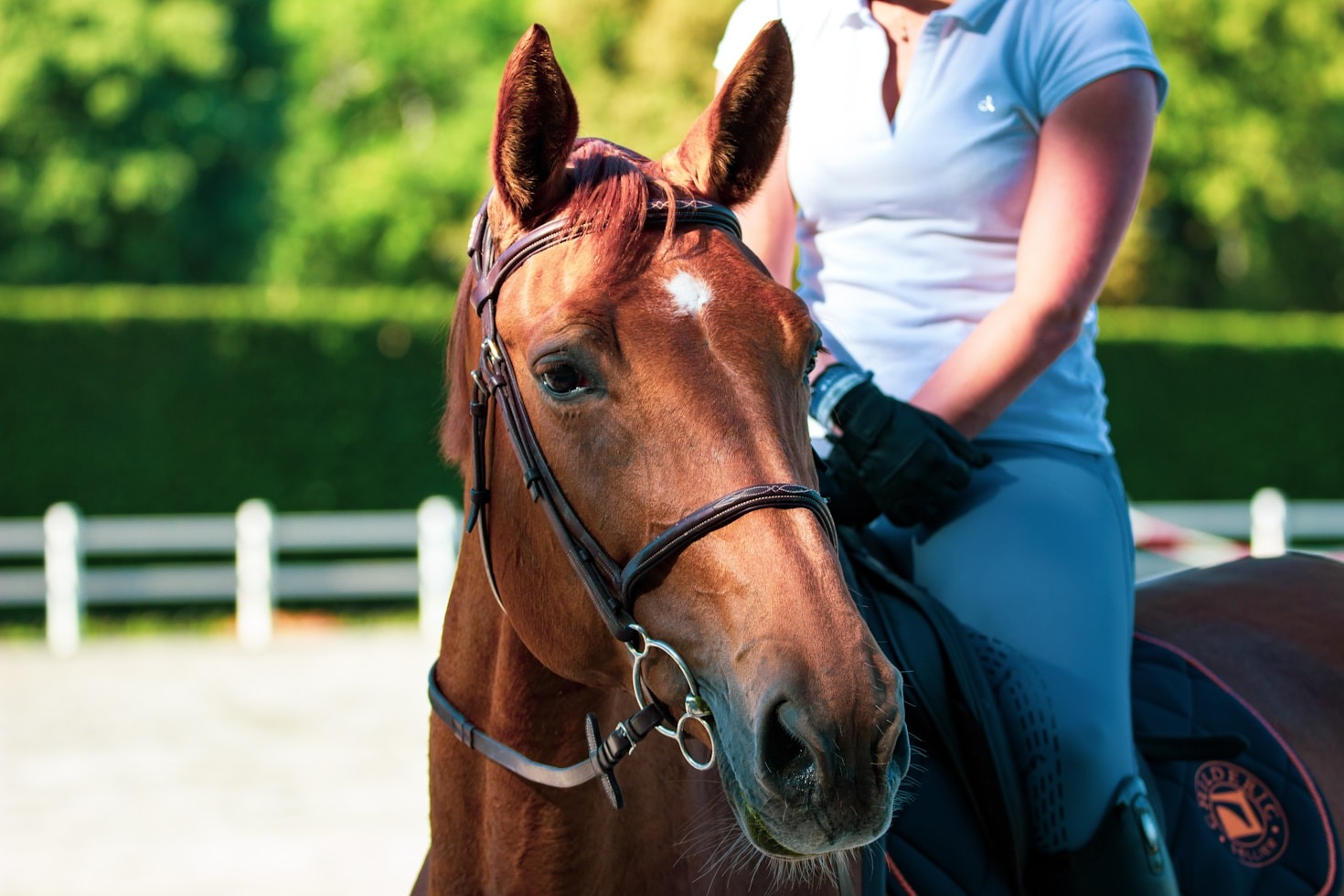 Waarom professionele training het verschil maakt